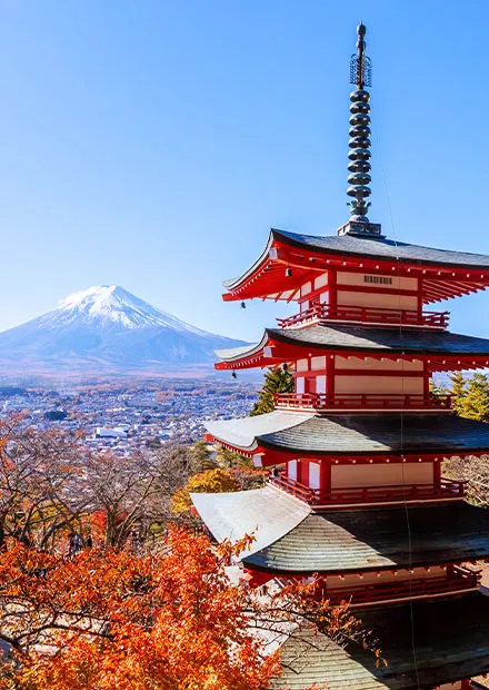 写真：新倉山浅間公園