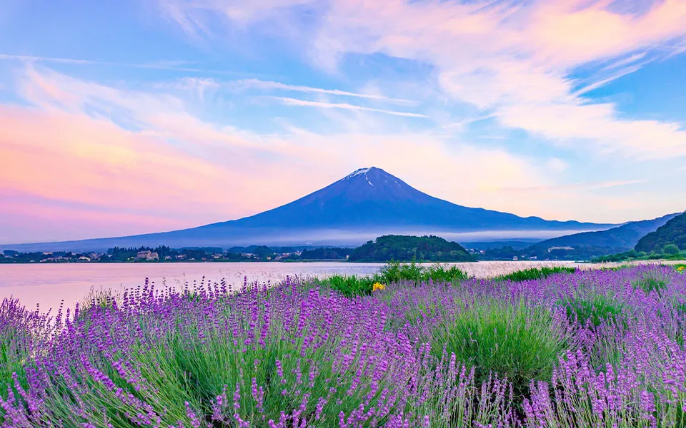 写真：河口湖周辺