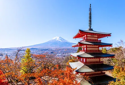 写真：新倉山浅間公園